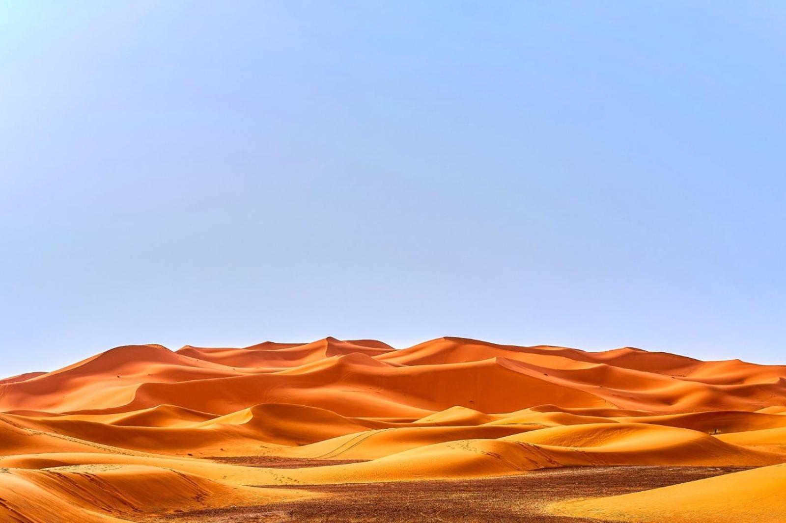 Young Luxury Camp Merzouga Buitenkant foto